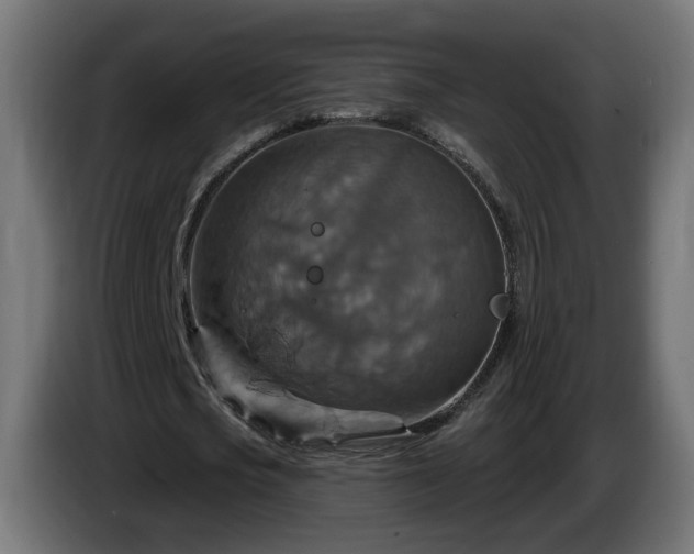 X0000084540721200703021443