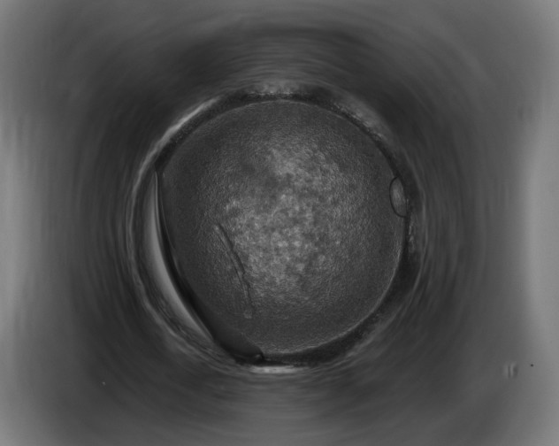 X0000084540722200703021443