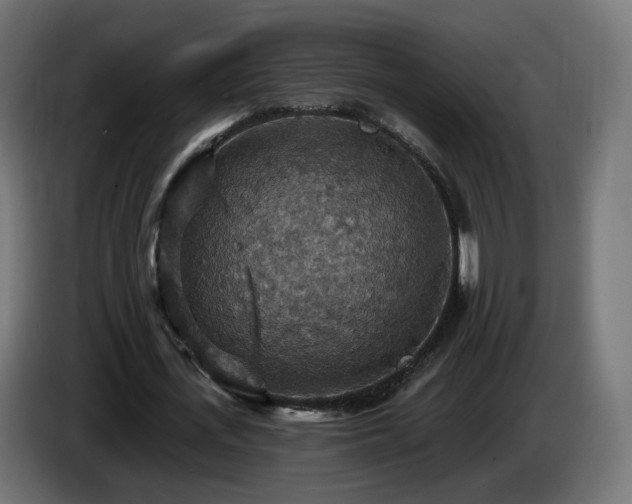 X0000084540723200703021443