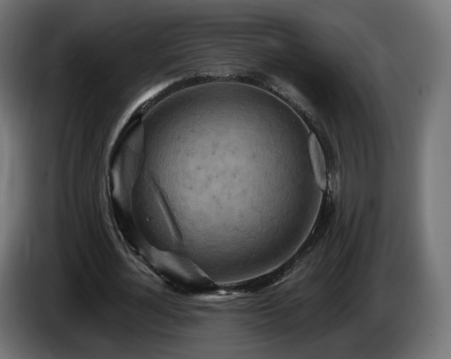 X0000084540724200703021443