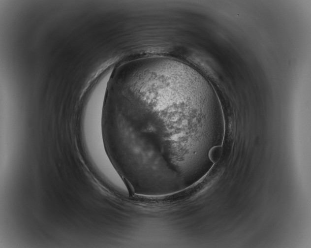 X0000084540725200703021443