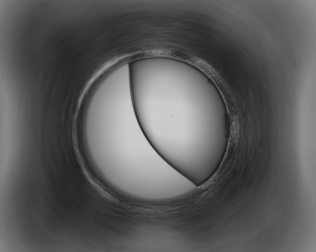 X0000084540726200703021443