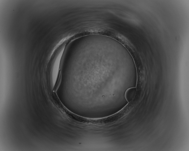 X0000084540727200703021443