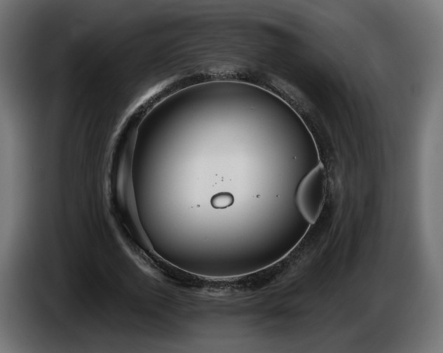 X0000084540728200703021443