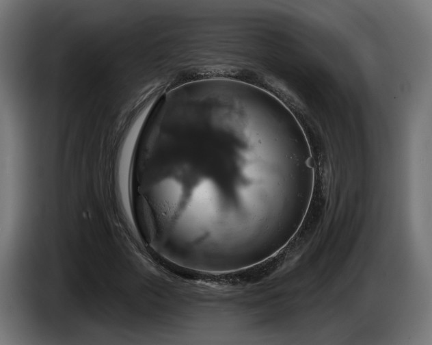 X0000084540729200703021443