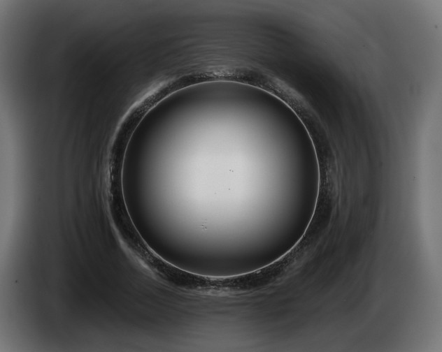 X0000084540730200703021443