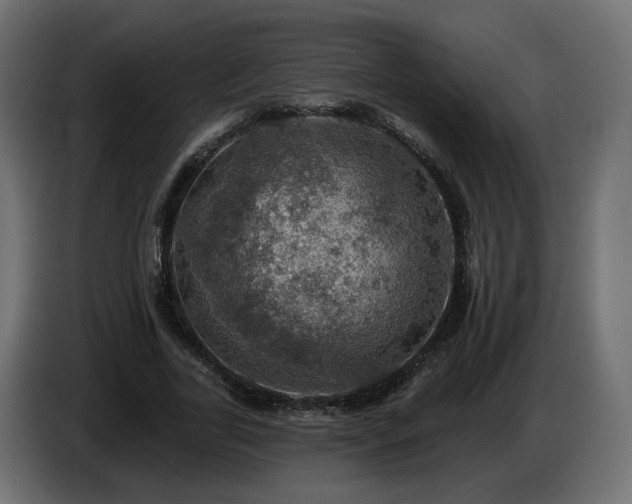 X0000084540731200703021443