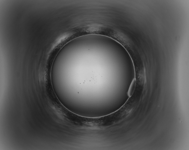 X0000084540732200703021443