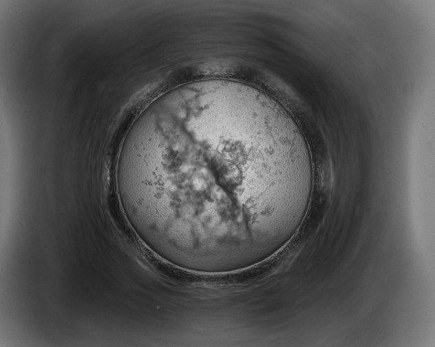 X0000084540733200703021443