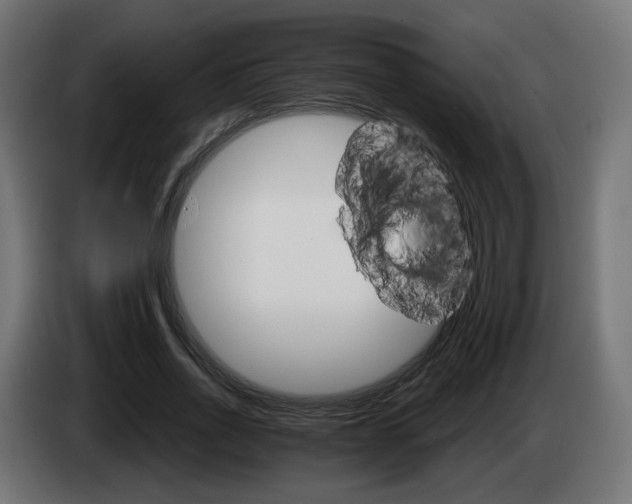 X0000084540734200703021443