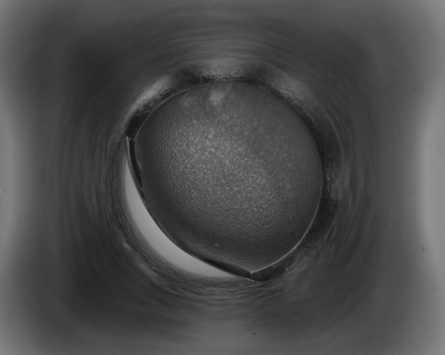 X0000084540735200703021443