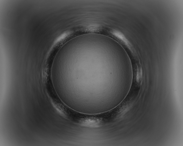 X0000084540736200703021443