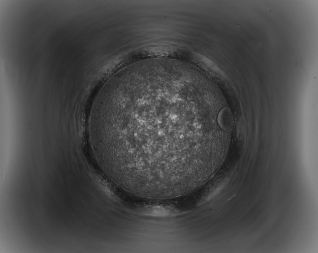 X0000084540737200703021443