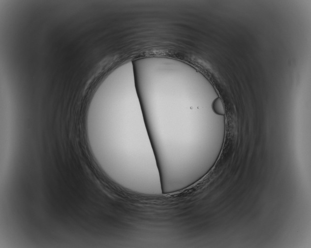 X0000084540738200703021443