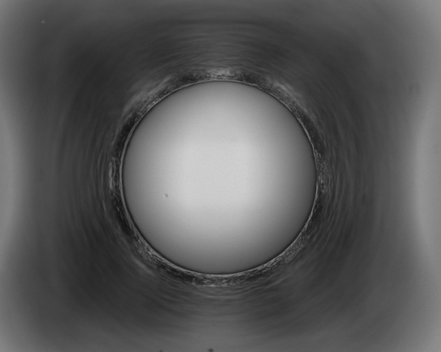 X0000084540740200703021443