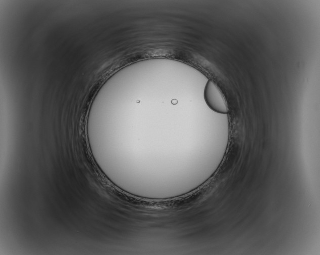 X0000084540741200703021443