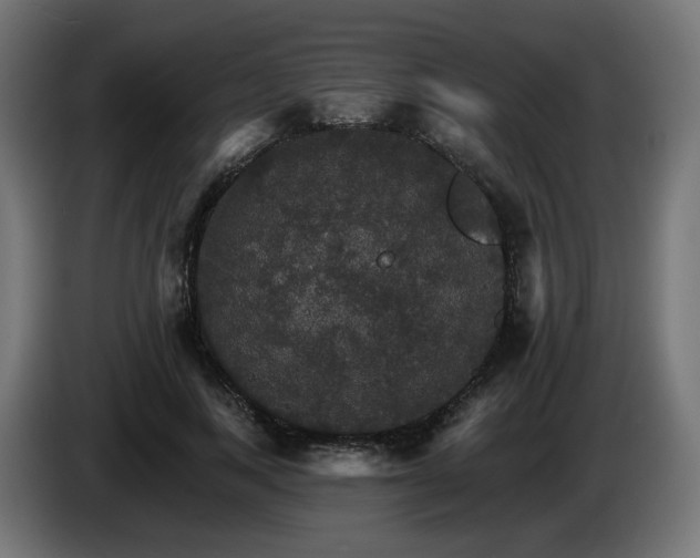 X0000084540743200703021443