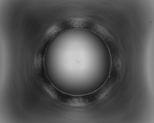 X0000084540744200703021443