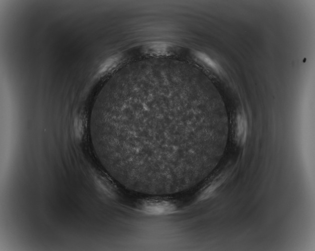 X0000084540747200703021443