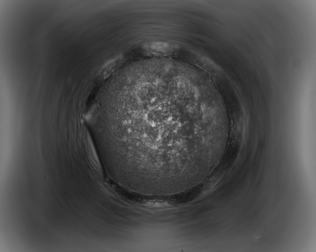 X0000084540749200703021443