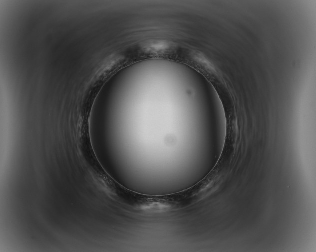 X0000084540750200703021443