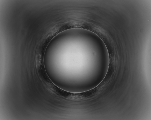 X0000084540752200703021443