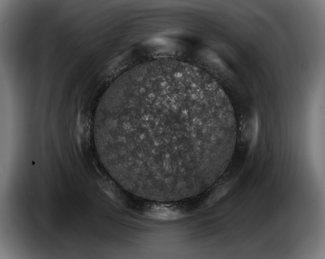 X0000084540753200703021443