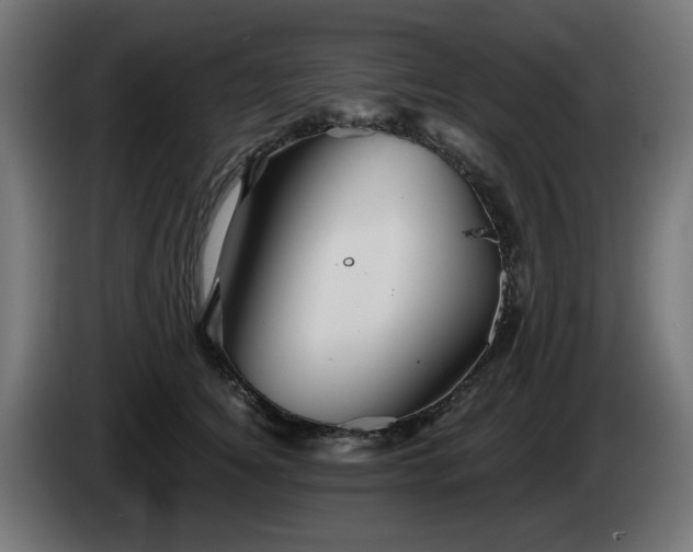 X0000084540756200703021443