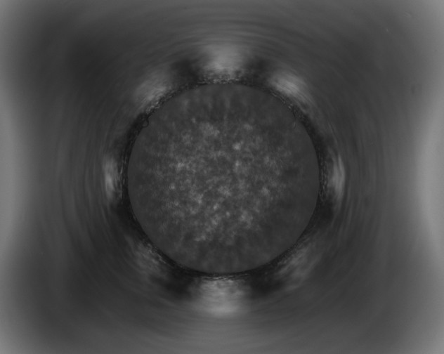 X0000084540759200703021443