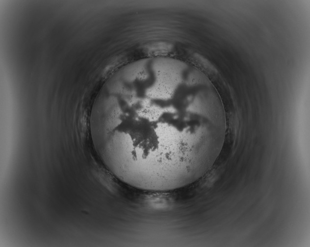 X0000084540761200703021443