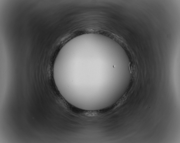 X0000084540762200703021443