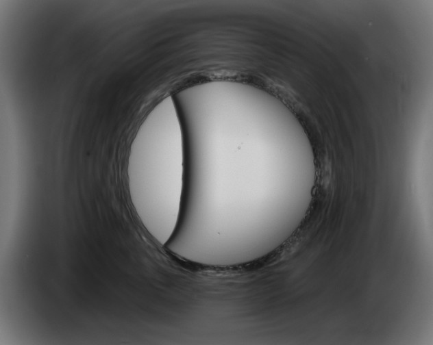 X0000084540763200703021443