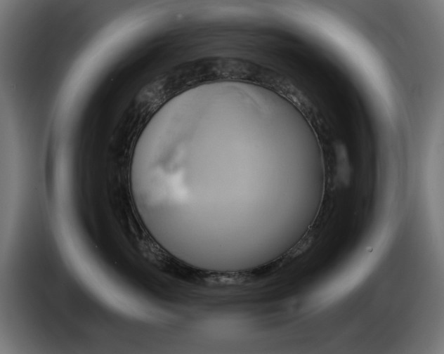 X0000084540765200703021443