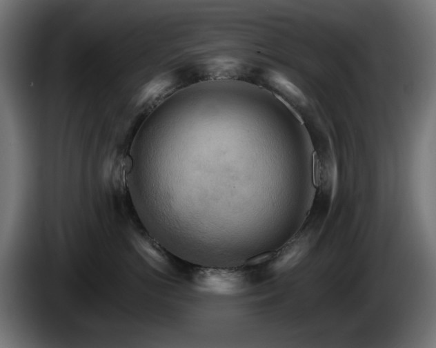 X0000084540766200703021443