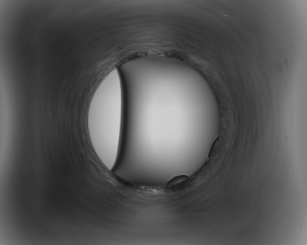 X0000084540768200703021443