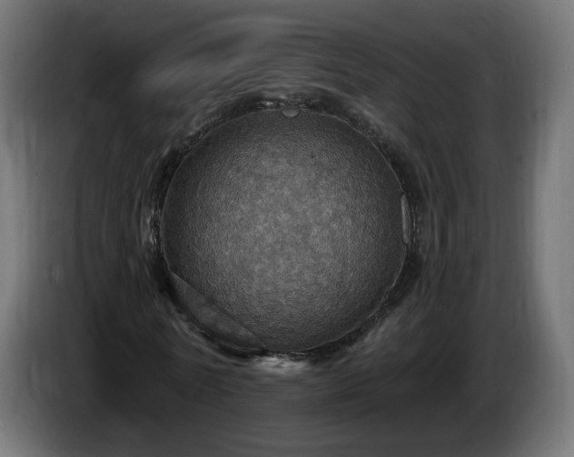 X0000084540770200703021443