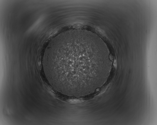 X0000084540771200703021443