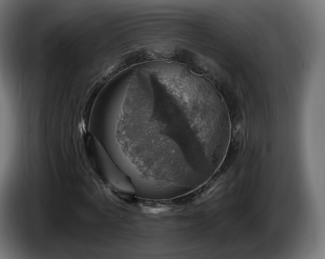 X0000084540772200703021443