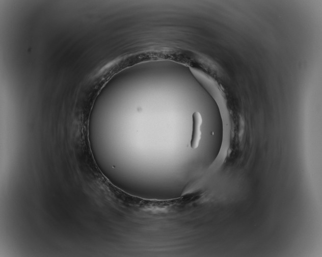 X0000084540773200703021443