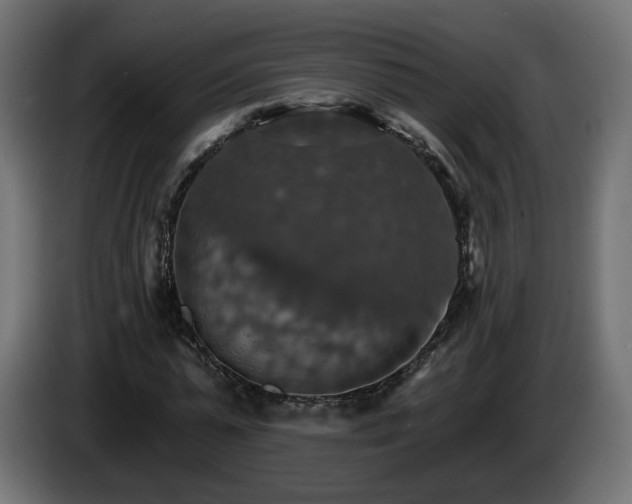 X0000084540775200703021443