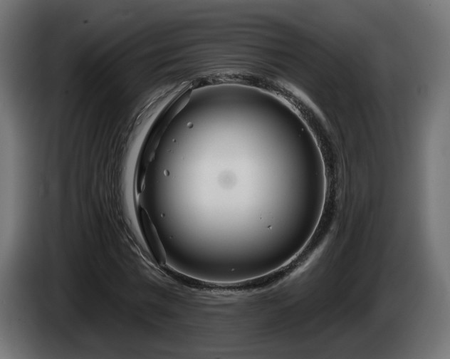 X0000084540777200703021443