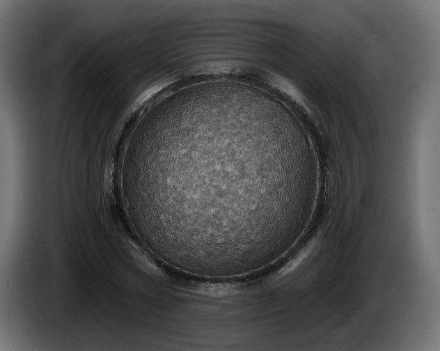 X0000084540778200703021443