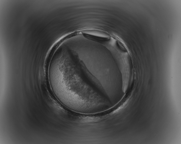 X0000084540779200703021443