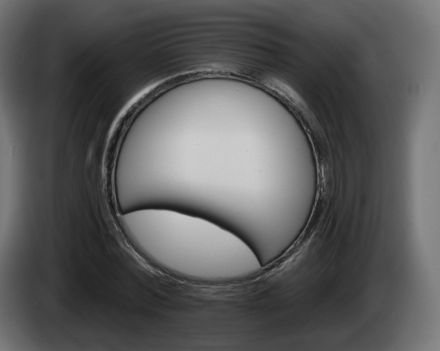 X0000084540780200703021443