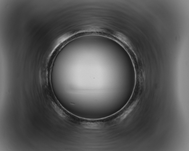 X0000084540781200703021443