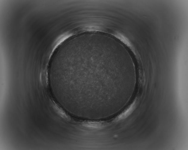 X0000084540782200703021443