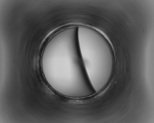 X0000084540783200703021443