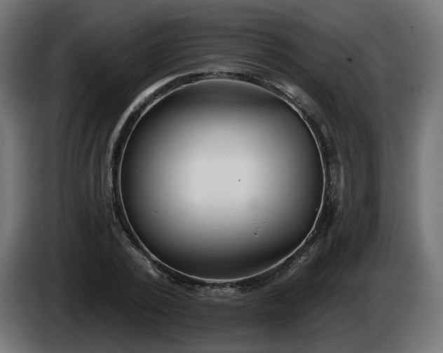 X0000084540784200703021443