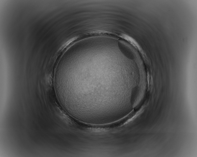 X0000084540785200703021443