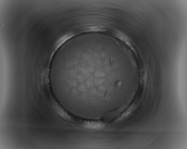 X0000084540786200703021443